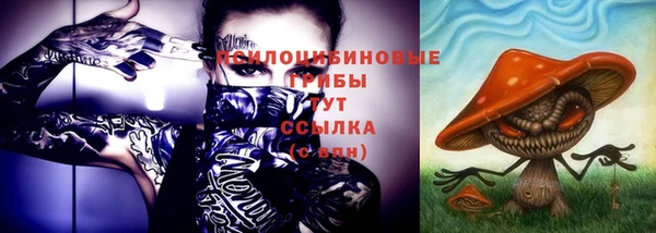 молекула духа Нефтекумск